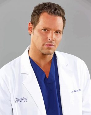 grey-s-anatomy-Alex-Karev-paint-by-numbers