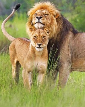 lion-and-lioness-couple-paint-by-number