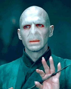 lord voldemort from harry potter paint by number