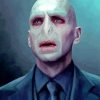 lord voldemort in suit paint by number