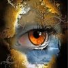 Mother Nature Eye Paint by numbers