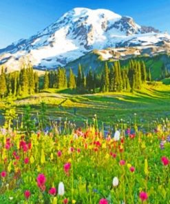 Mount Rainier Paradise Paint by numbers