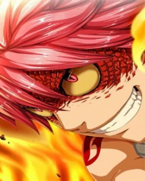 Natsu Fairy Tail Anime paint by numbers