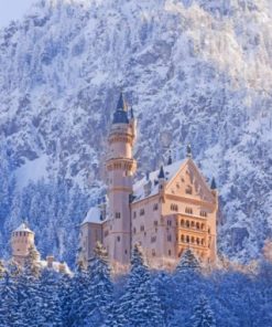 Snowyy Neuschwanstein Paint by numbers