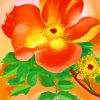 orange-Austrian-Briar-paint-by-numbers