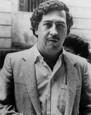 Pablo Escobar Black and White paint by numbers