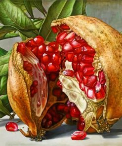 Pomegranate paint by numbers