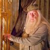 Professor Albus Dumbledore Paint By Number