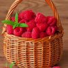 raspberries fruit in basket paint by number