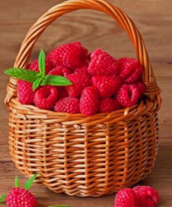 raspberries fruit in basket paint by number