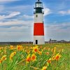 sankaty head light Nantucket paint by numbers