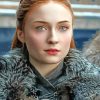 Sansa Stark Game of Thrones Paint by number