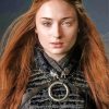 sansa stark paint by numbers