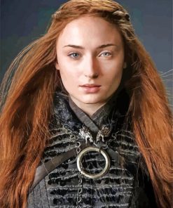 sansa stark paint by numbers