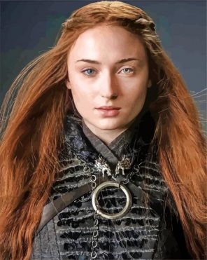 sansa stark paint by numbers