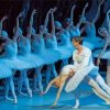 Swan Lake Dancers Paint by numbers