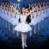 Russian Swan Lake Paint by numbers