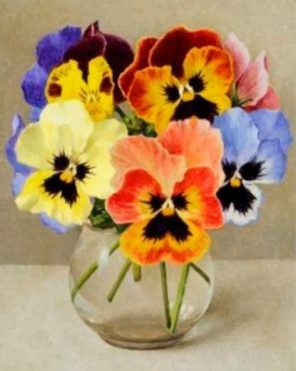 Vintage Pansy Flowers paint by numbers