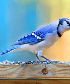 Aesthetic Blue Jay paint by number