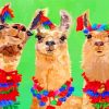 Alpacas llamas paint by numbers