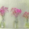 Babys Breath Jars paint by number