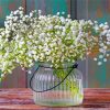 Babys Breath Plants paint by numbers