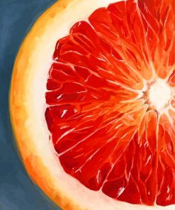 Blood Orange art paint by number