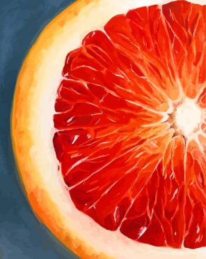 Blood Orange art paint by number