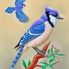 Blue Jay Birds paint by numbers