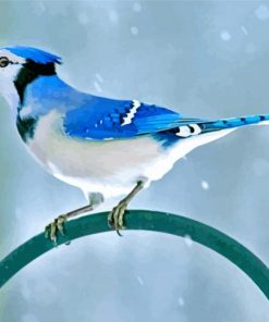 Blue Jay paint by numbers