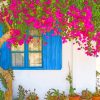 Bougainvillea Flower paint by numbers