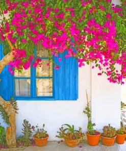 Bougainvillea Flower paint by numbers