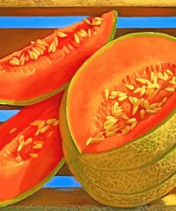 Cantaloupe art paint by numbers