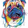 Colorful Splash Pug Dog paint by numbers