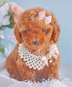 Cute Brown Poodle Paint By Number