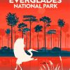 Everglades National Park Illustration Poster Paint by numbers