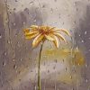 Flower In Rain paint by numbers