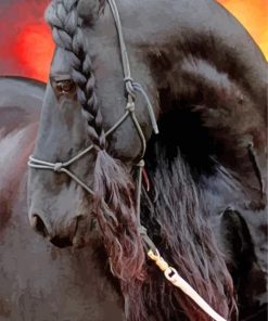 Friesian horse paint by numbers