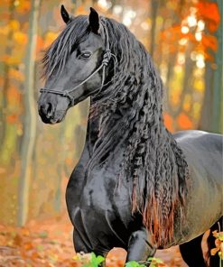 Friesian paint by number