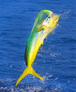 Jumping Mahi Mahi paint by numbers