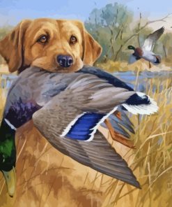 Labrador And Mallards paint by numbers