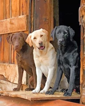 Labrador Retriever dogs paint by number