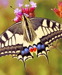 Lepidoptera swallowtail butterfly paint by numbers