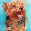 Morkie dog paint by numbers