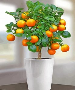 Orange Tree paint by number