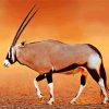 Brown Oryx paint by numbers