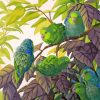 Parrotlet Birds paint by numbers