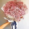 Pink Babys Breath Bouquet paint by number