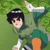 Rock Lee Naruto Anime paint by numbers