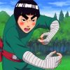 Rock Lee Naruto paint by number